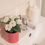 For Guests *